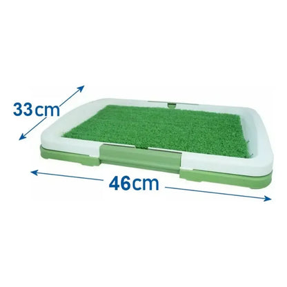 Baño Ecológico Sanitario Mascotas Talla M / Adiestramiento Verde