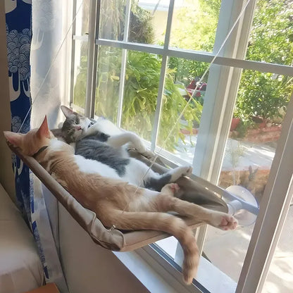 Cama Hamaca Colgante Ventosa Ventana Mediana Noyal Beige Gato Liso